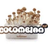 Colombia mushrooms by FreshMushrooms®