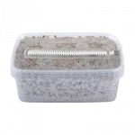 Golden Teacher Mushroom Spores - Image 4