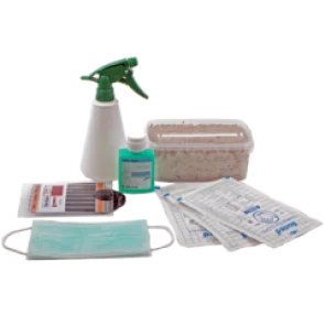 Best mushroom growing kit for beginners