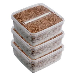 Magic Mushrooms Growing Kit Package Deal