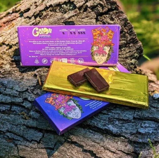 Golden Ticket Mushroom Bar | Buy Premium Mushroom Chocolate Online