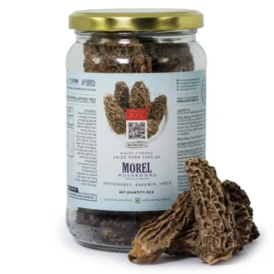 Morel Mushrooms Online – Premium Gourmet Mushrooms for Cooking