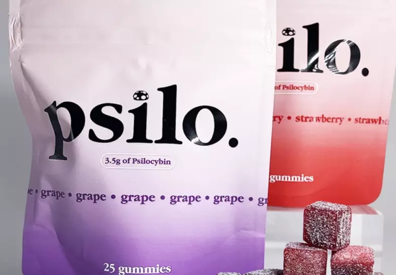 Psilocybin Mushroom Gummy Cubes - Image 4