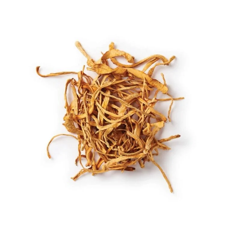 Where to buy cordyceps mushroom - Image 3