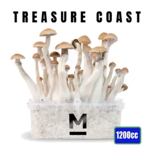 Treasure Coast Mushroom